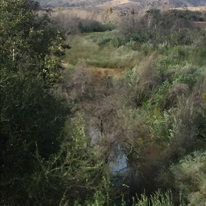 Meet your Posher, Shaun